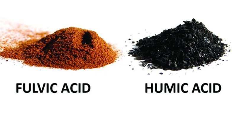 Humic and Fulvic Acids in Organic Farming: The Secret Weapons for Soil ...