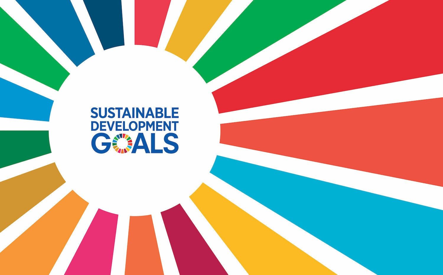🌍 United Nations Sustainable Development Goals (SDGs)