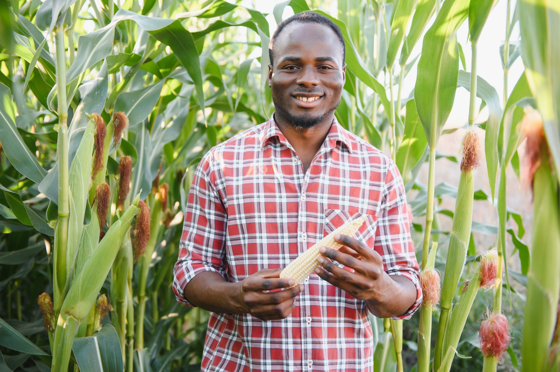 - Suleiman Tanko, Sorghum & Cowpea Farmer