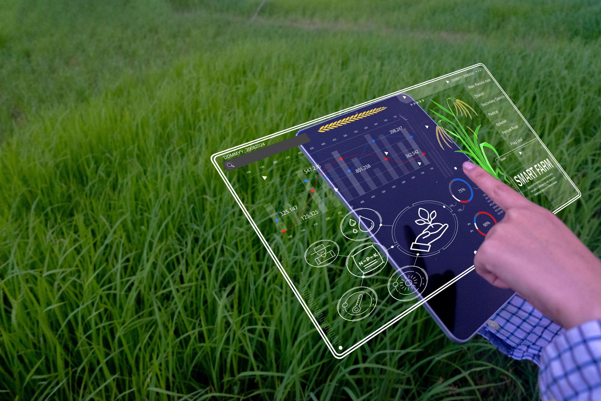 Smart Farming  and Sustainable Agriculture.