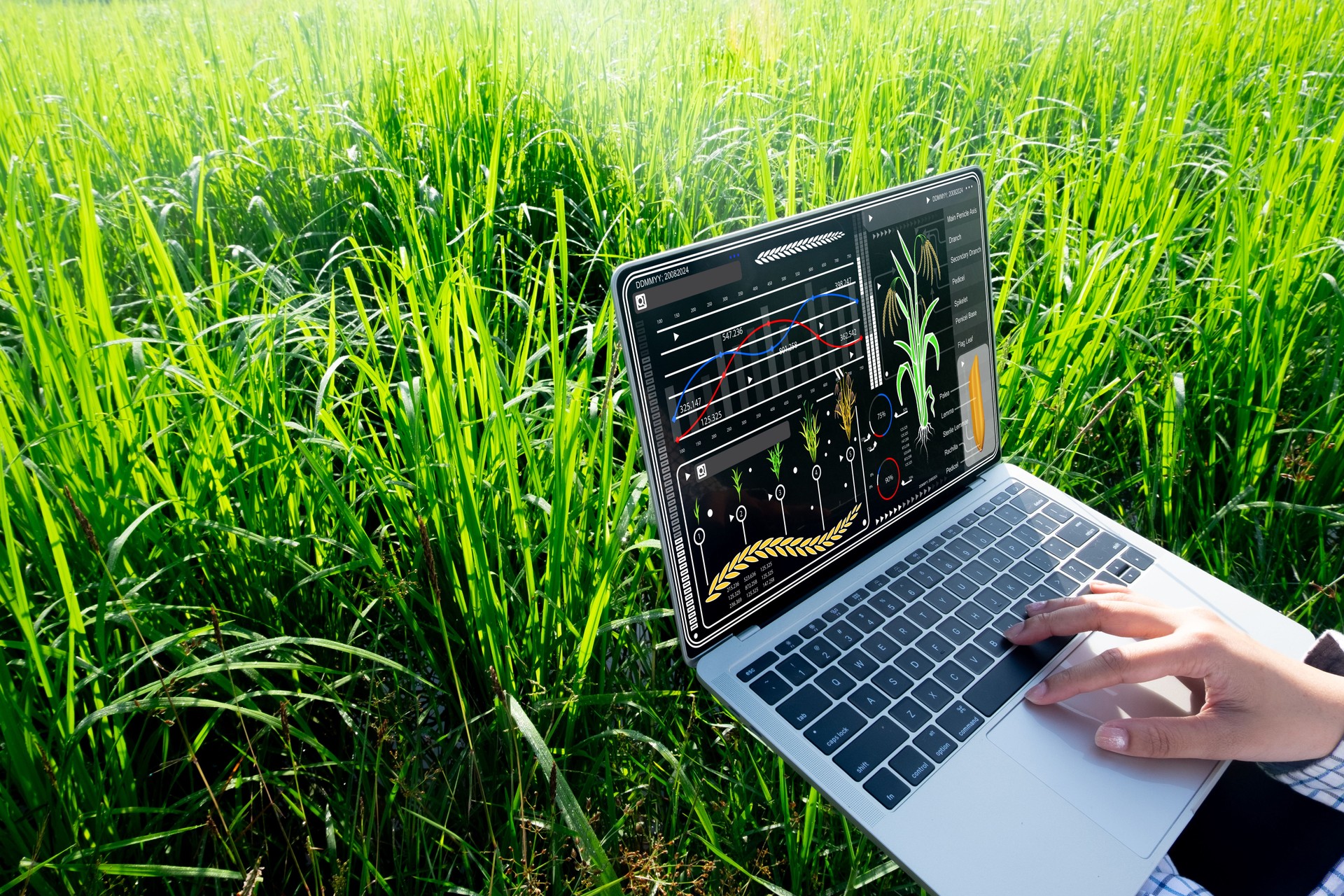 Smart Farmer with Technology.