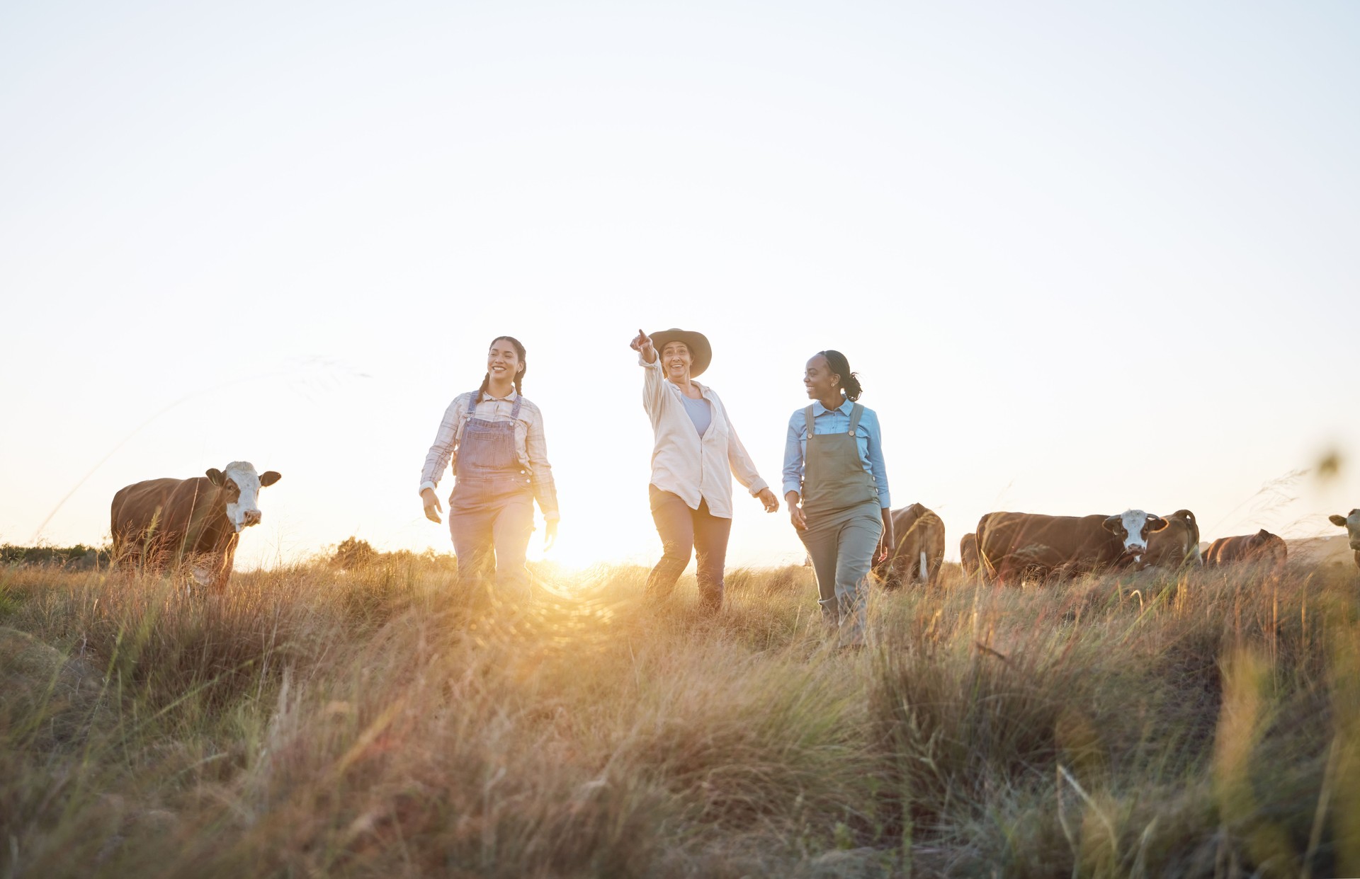 Cow, farm and employees in countryside working and helping on cattle, live stock or sustainable farming with women. Farmer, manager and pointing worker to animals, grass, grain or rural environment
