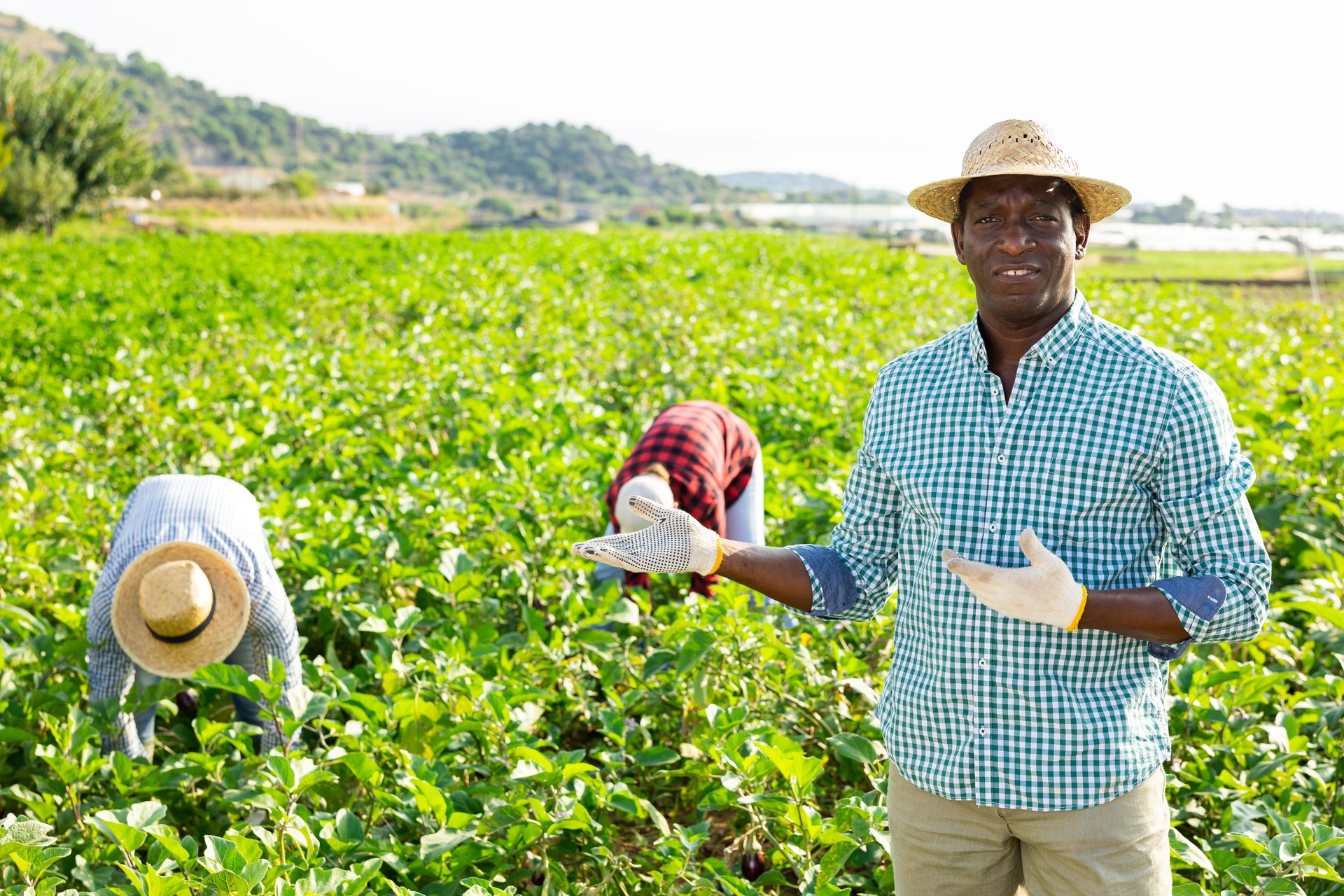 Portrait of confident farm owner in front of his farm on sunny summer day